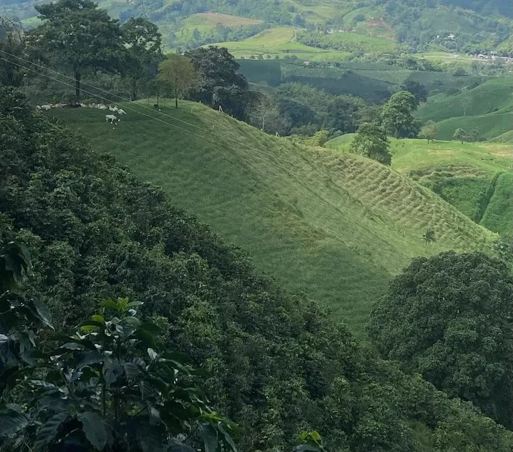 Adventure in Colombia - 2025