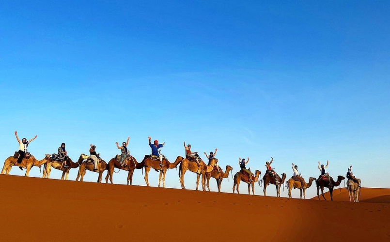 November 15, 2023 - Destination Spotlight: Morocco