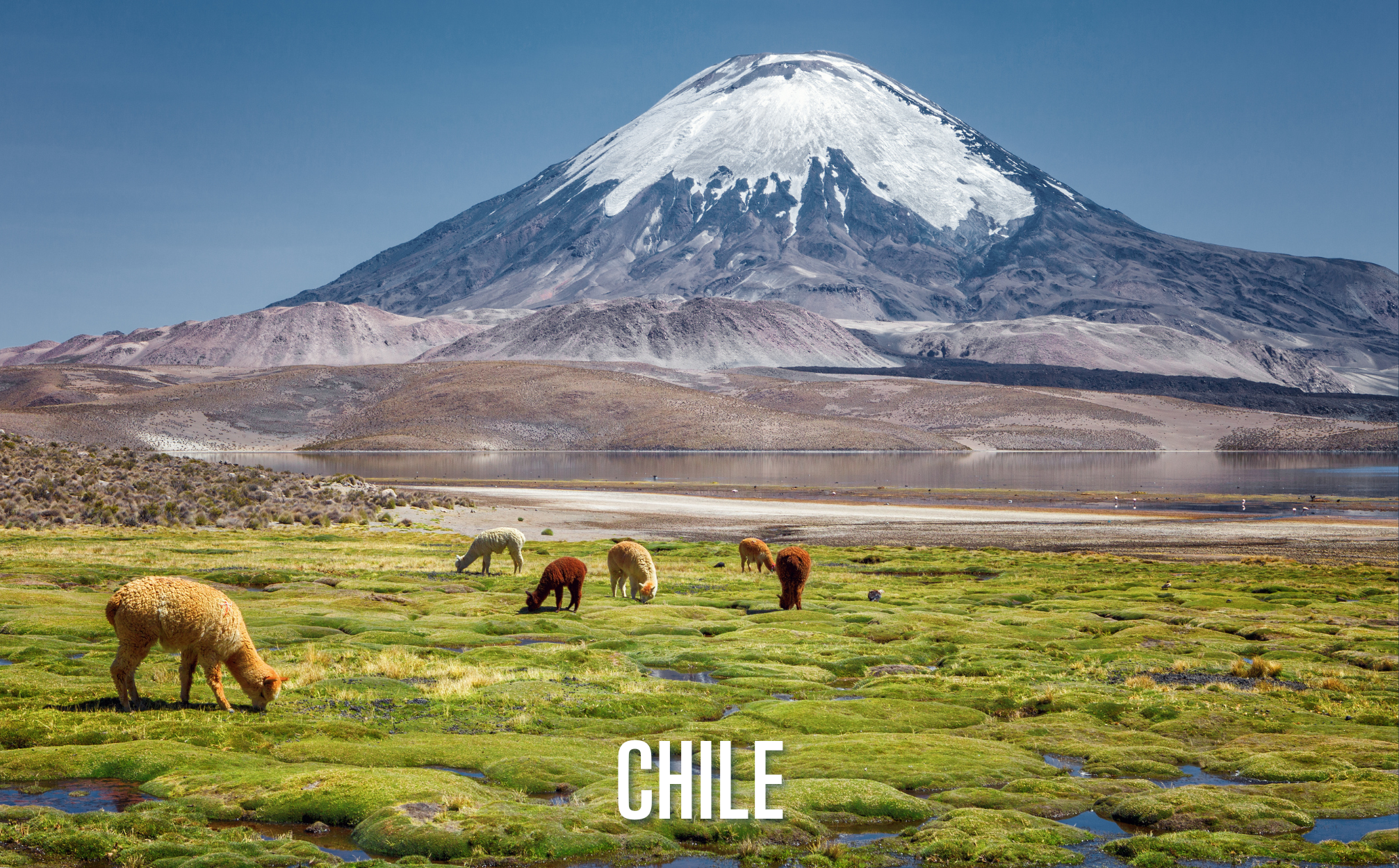 Destination Spotlight: Chile - July 16, 2025