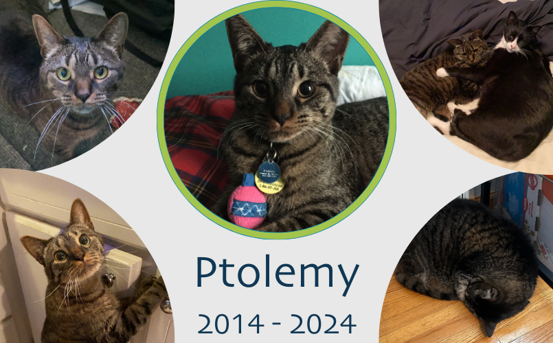 March 27, 2024 - My Own Backyard