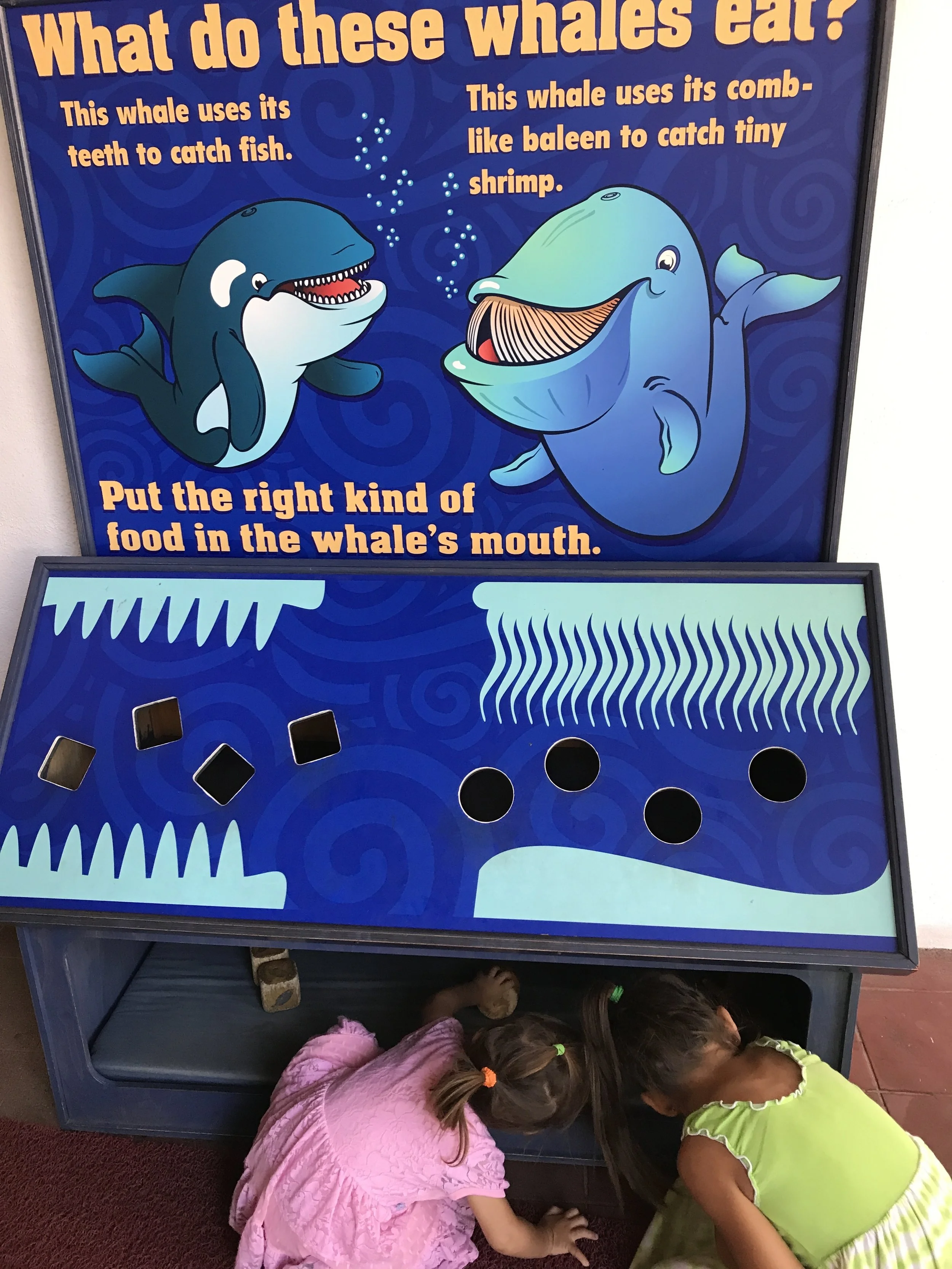 A quick guide for no-cost outings 