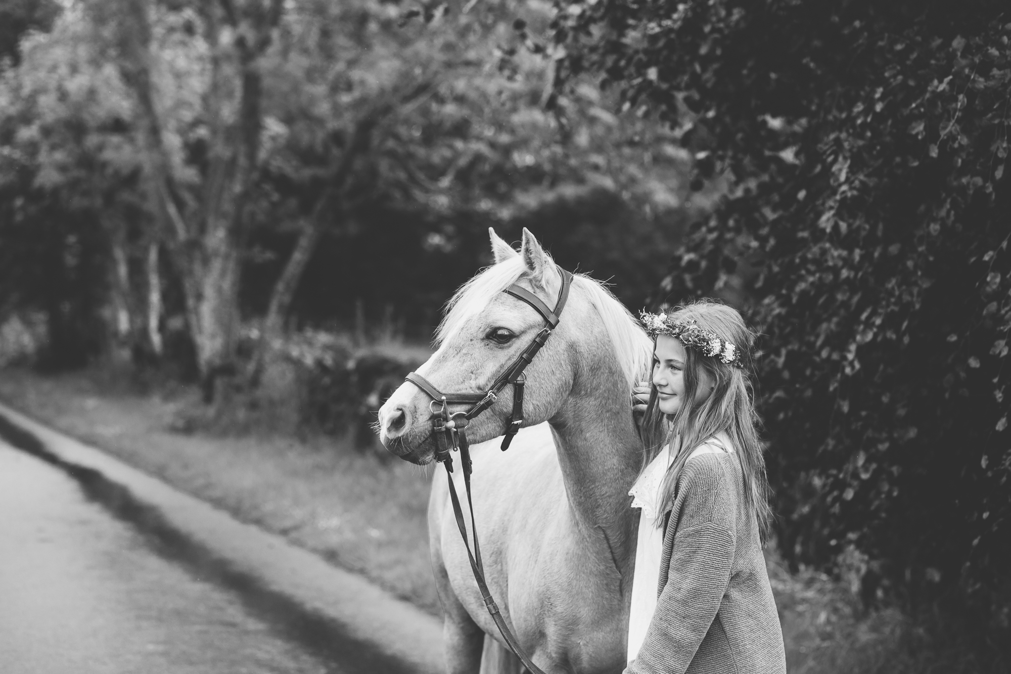 equine photography aberdeen