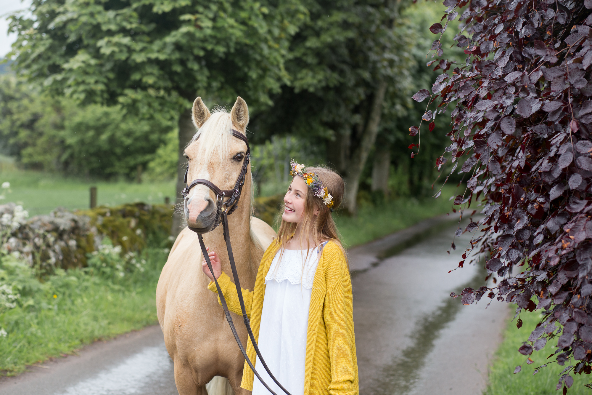  horse riding Aberdeen, Aberdeen livery yard, easter mains livery yard, equine photography Aberdeen 