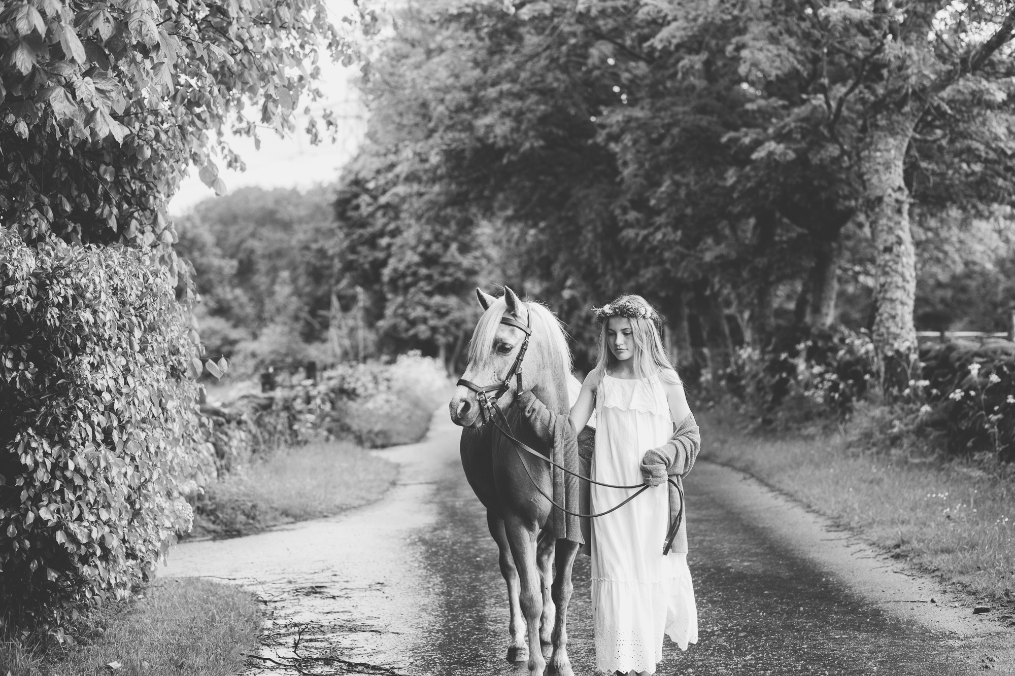 equine photographer aberdeen