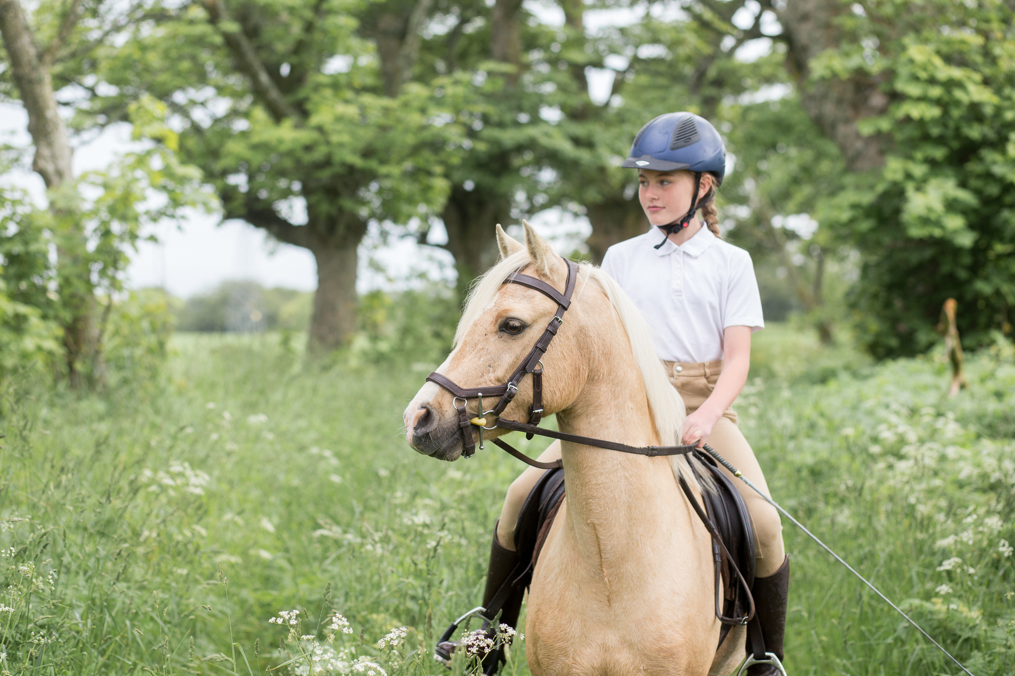 horse riding Aberdeen