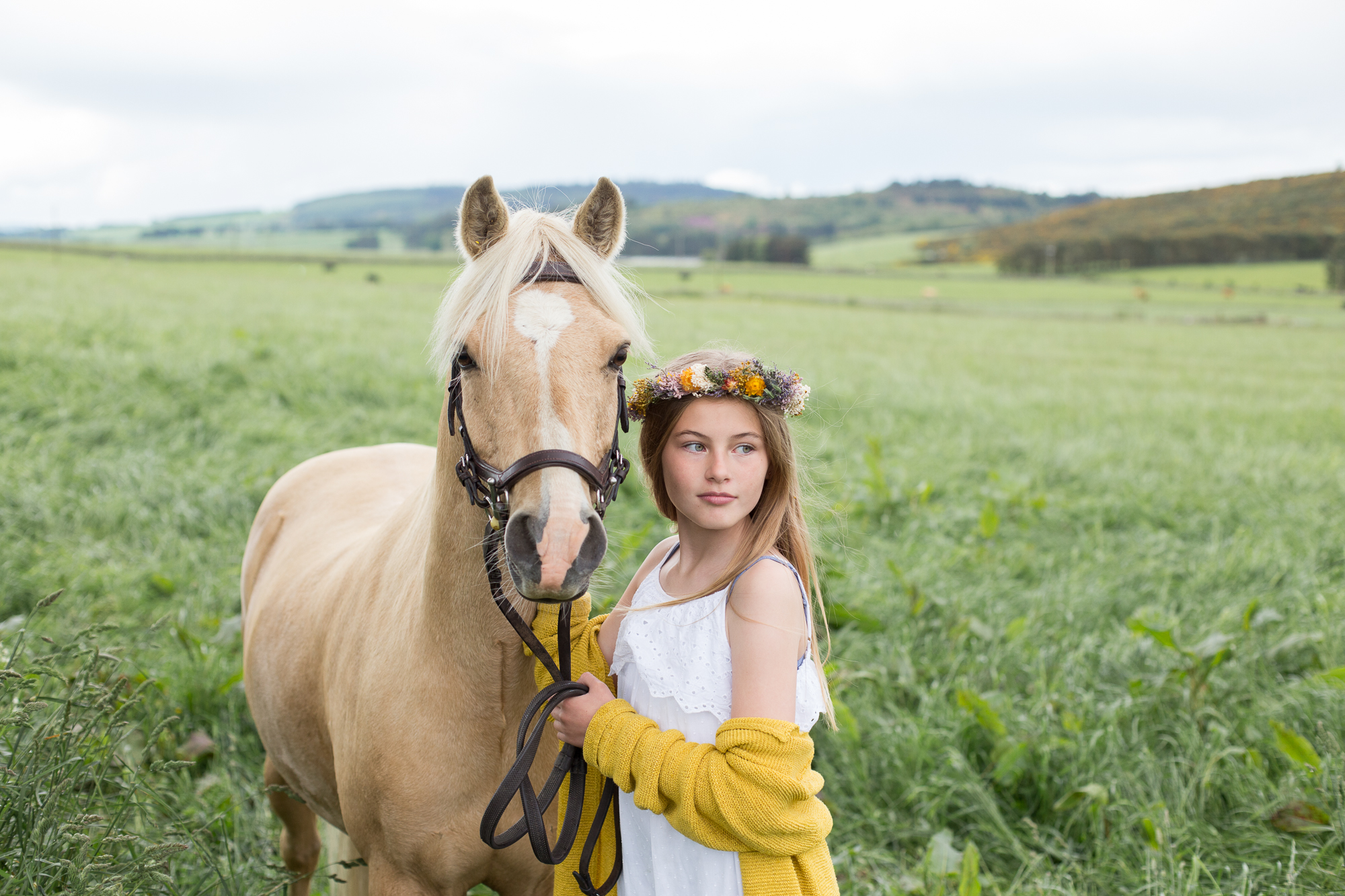 equine photographer aberdeen