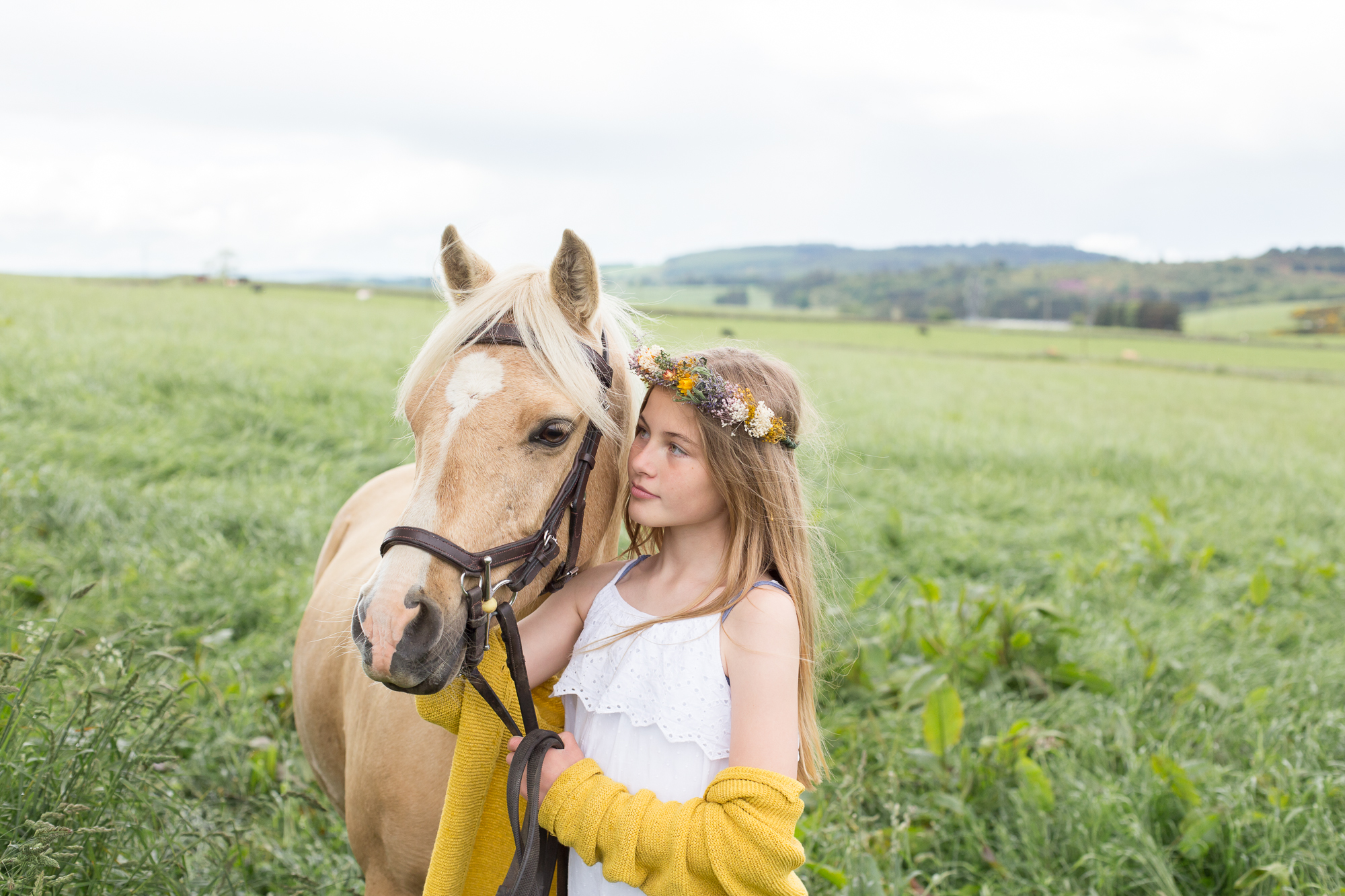 equestrian photography Aberdeen