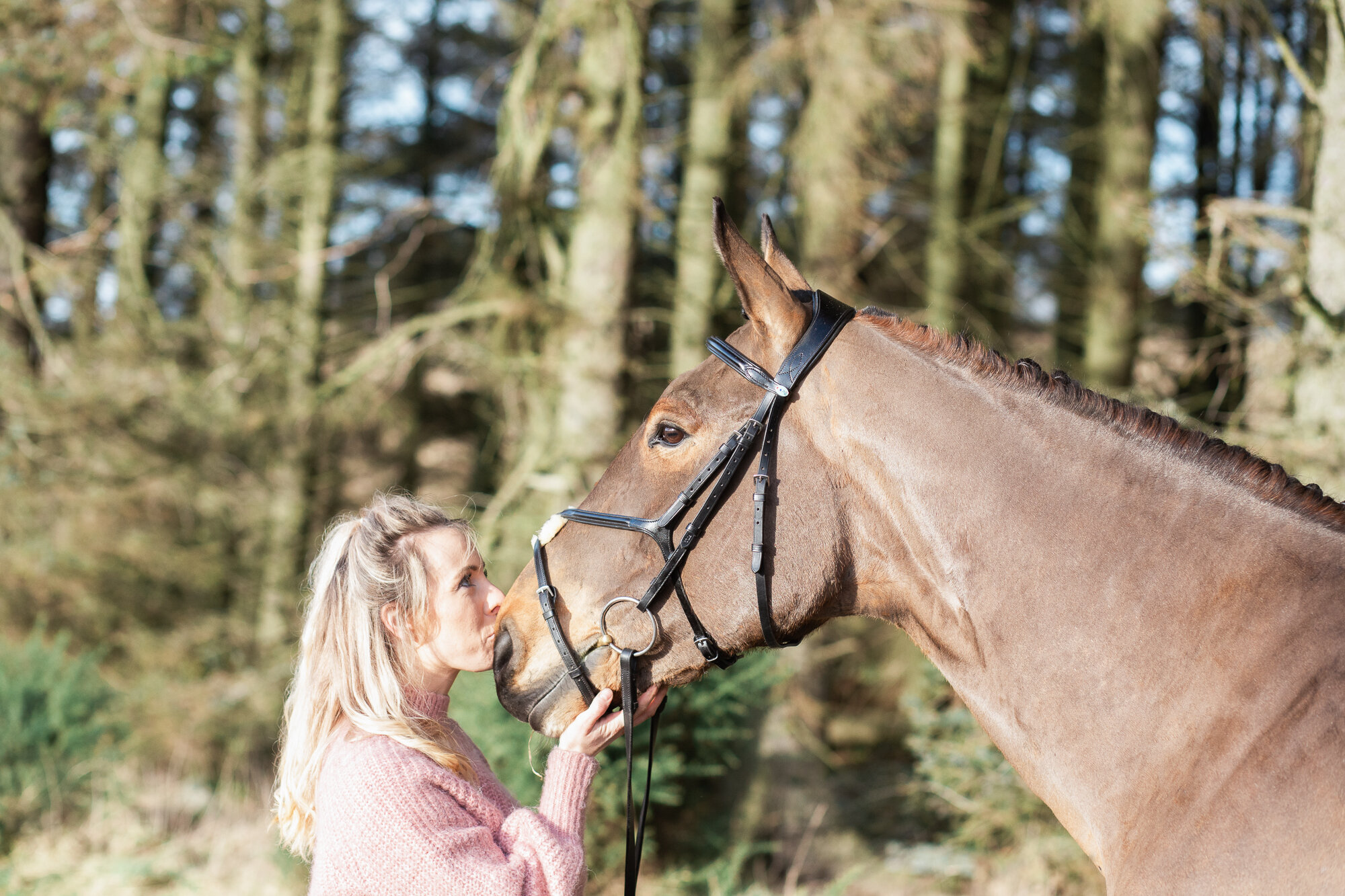 equinephotographyaberdeen (2 of 10).jpg