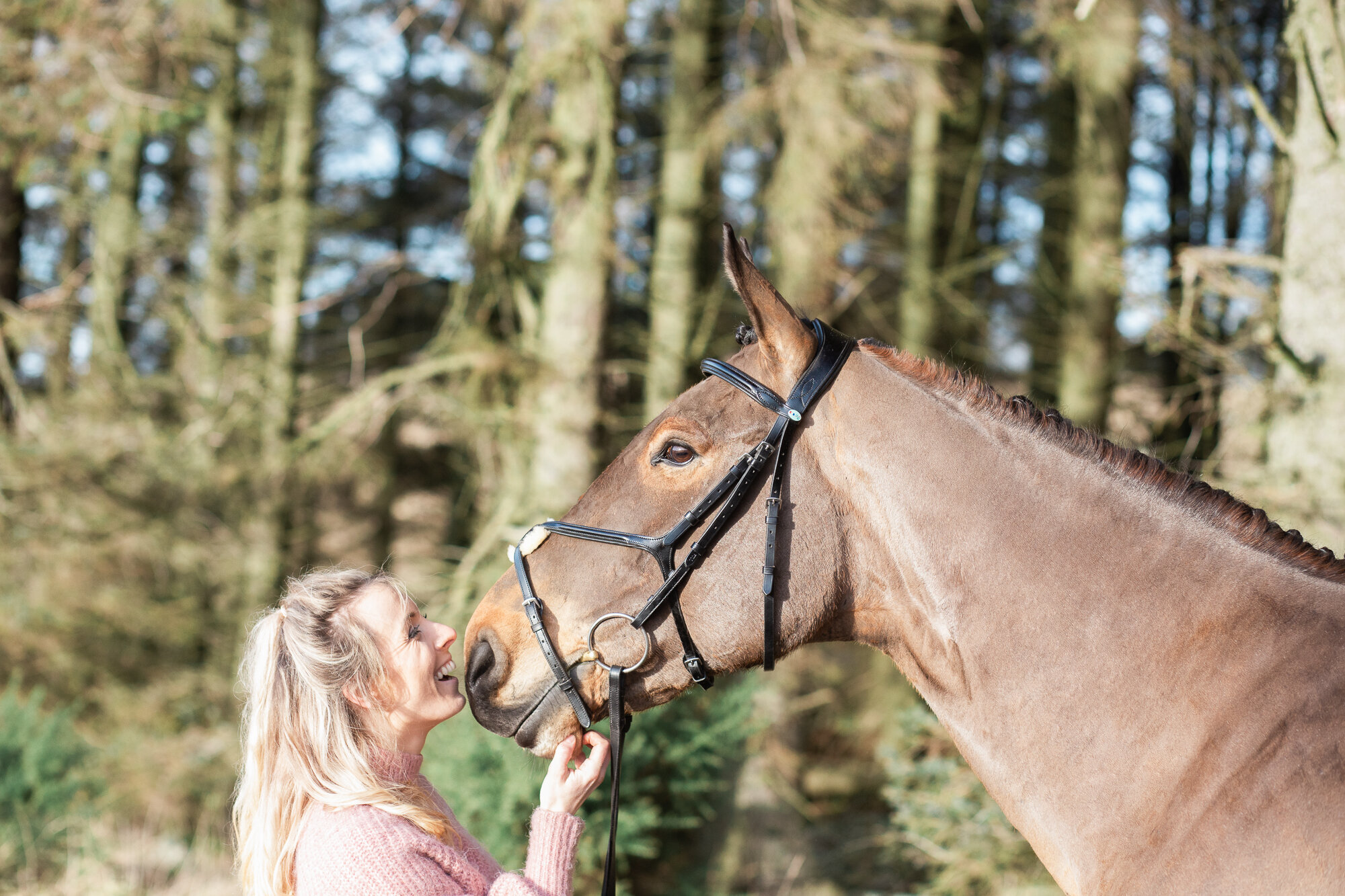 equinephotographyaberdeen (3 of 10).jpg