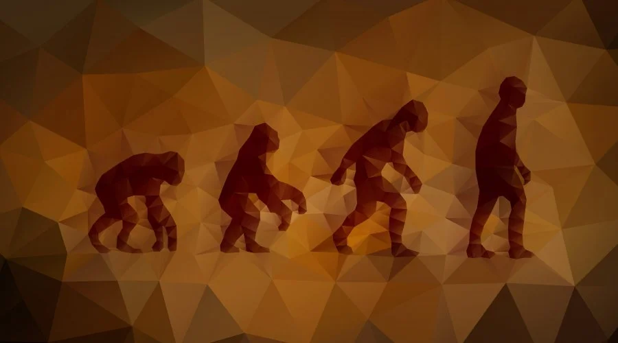 evolution-01.jpg
