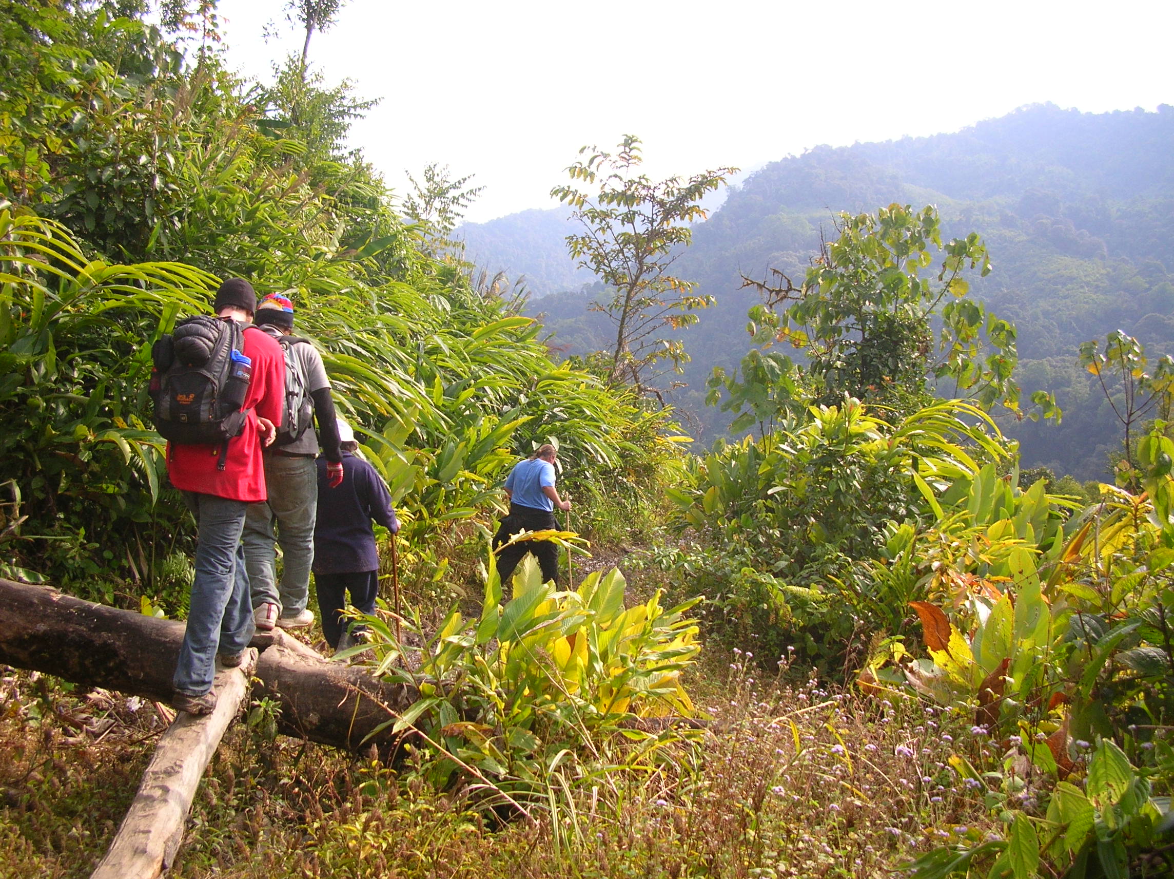 t.k., in blue, leading the trek into Pemakö.