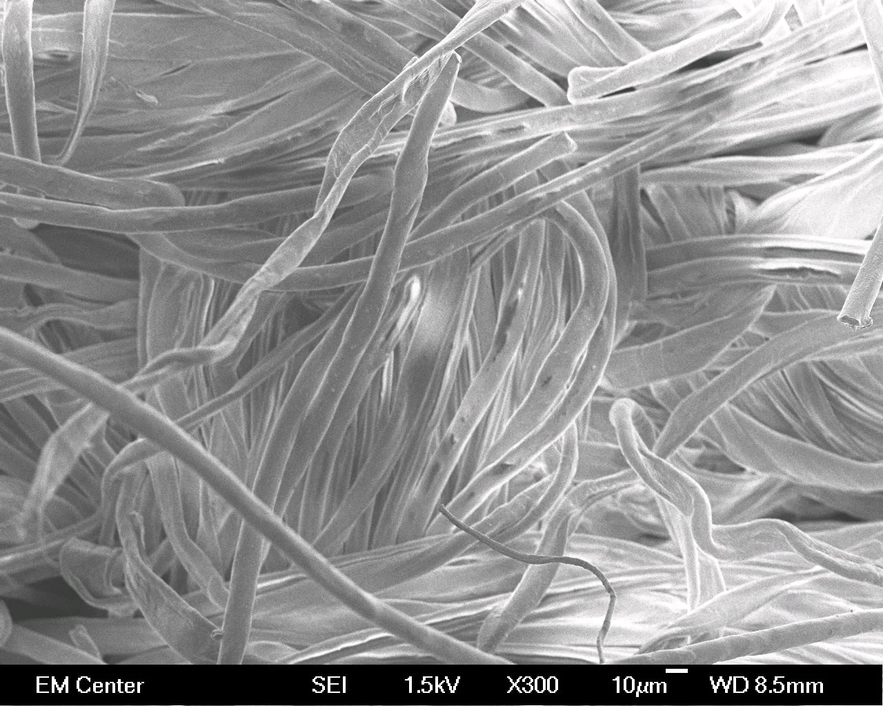 #nanotechnology #smartextiles #textilescience #nanomaterials #nanofibers #carbonblack #nanoparticle 