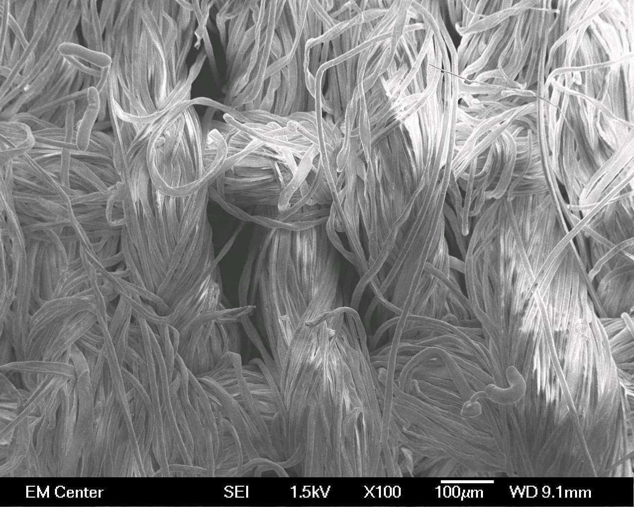 #naturaldyes #sustainabledyes #textilescience #colorfastness #persimmonnaturaldye #colorquest #AATCC #FTIR