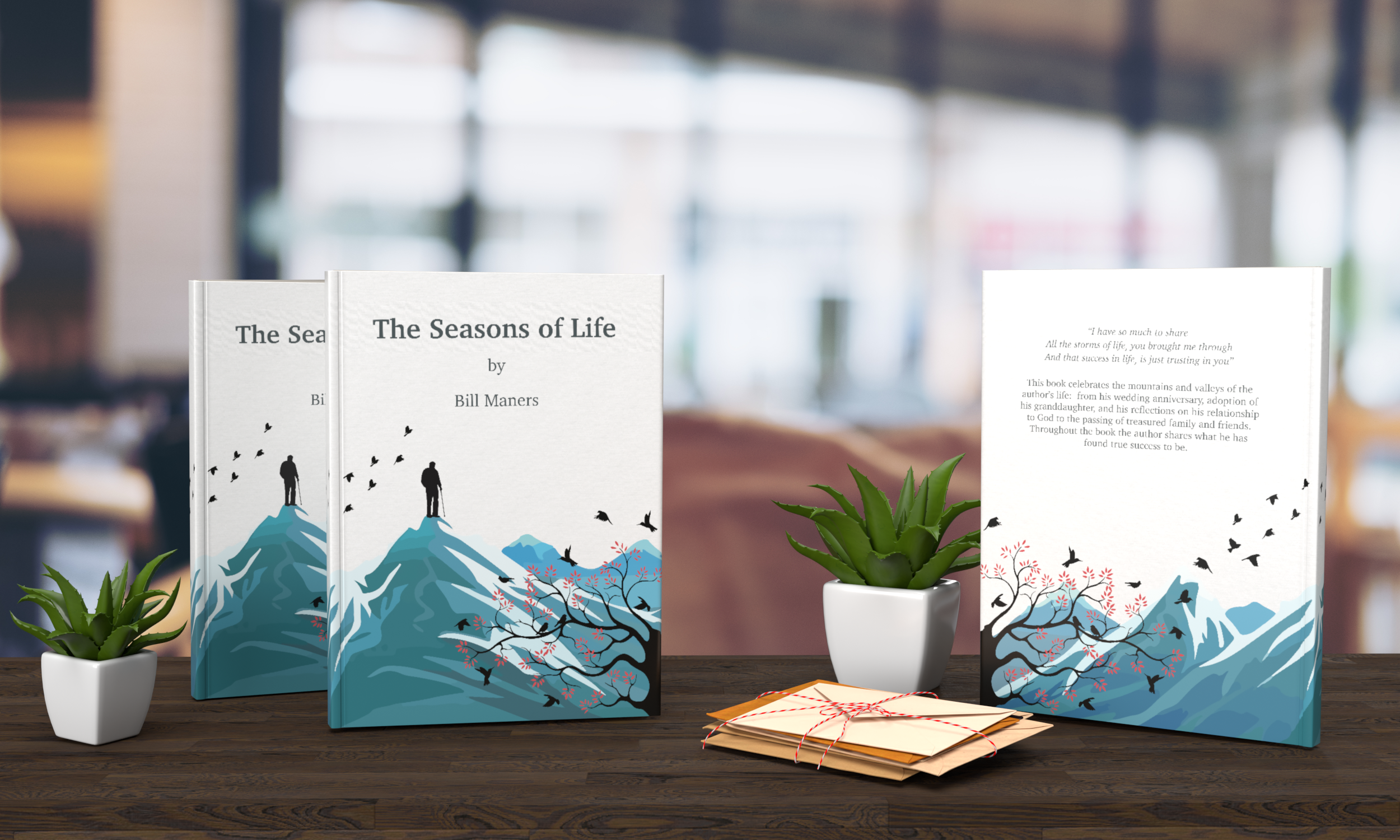 Book Display-Current View.png