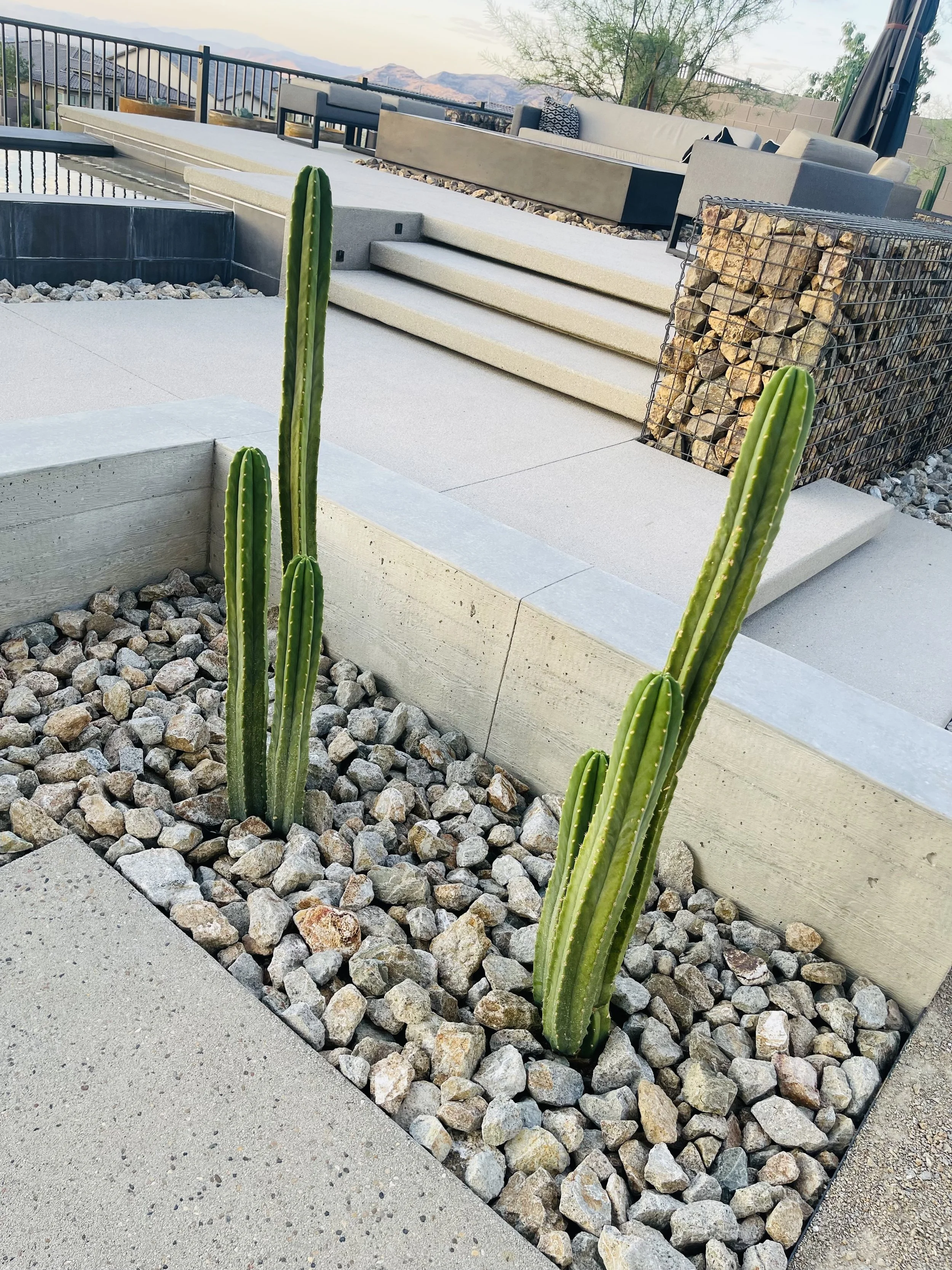 Photo Aug 31 2025, 6 37 27 AM.jpg