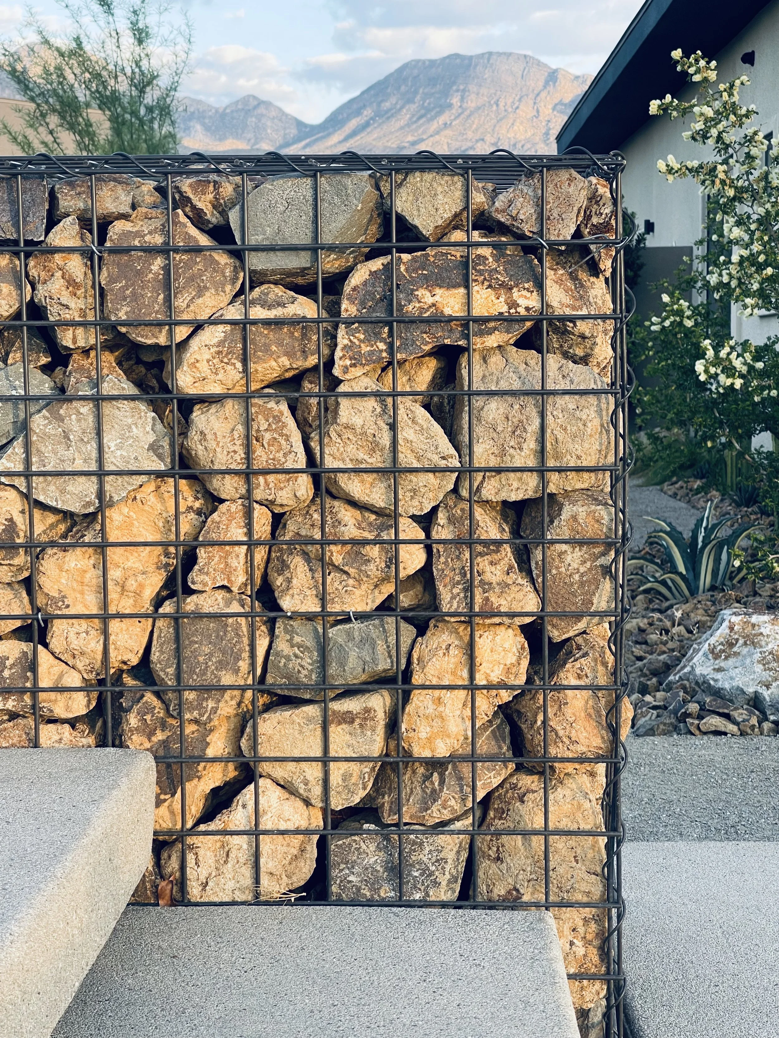 Photo Aug 31 2025, 6 40 57 AM.jpg