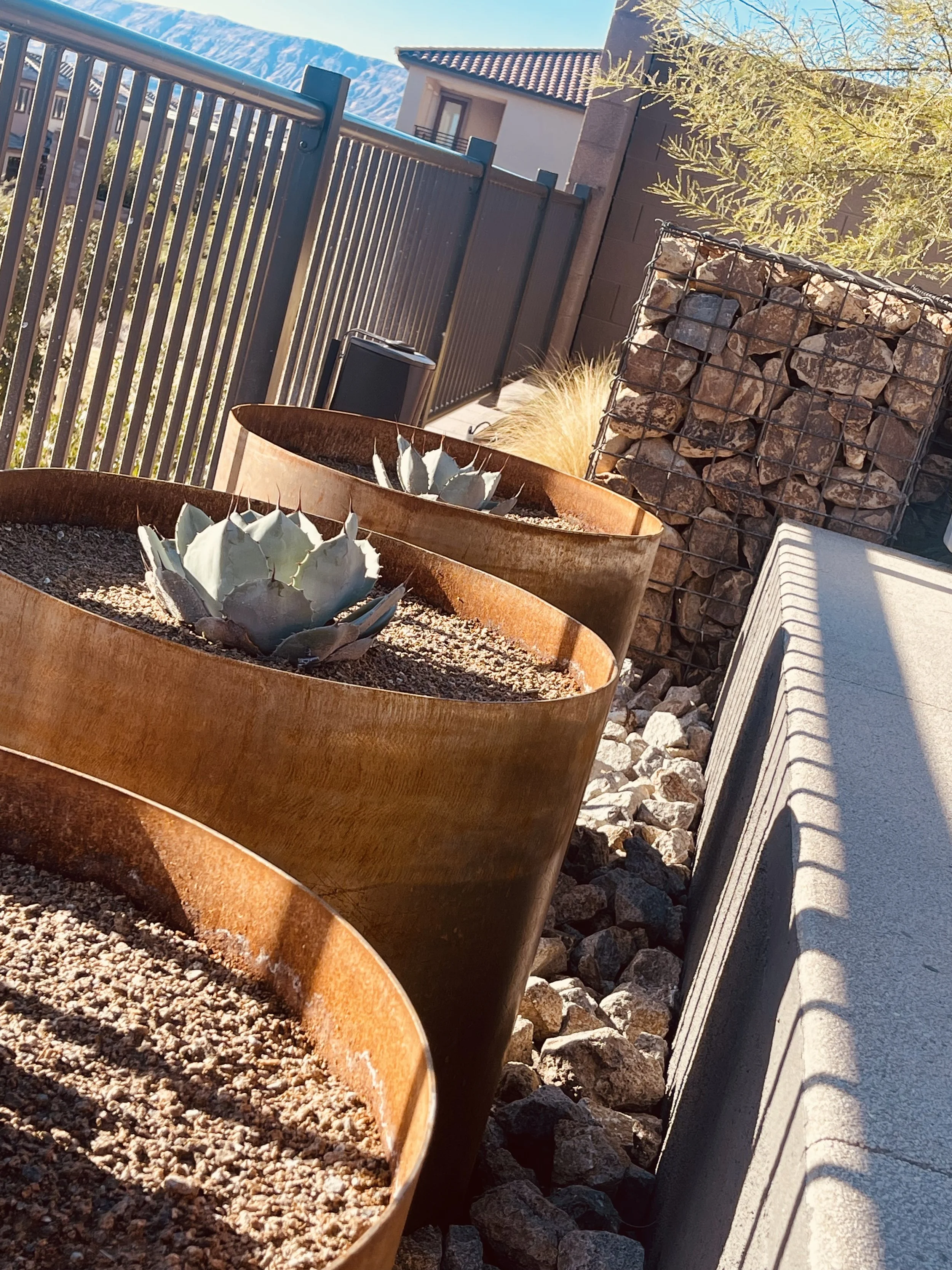 Photo Nov 23 2025, 8 47 44 AM.jpg