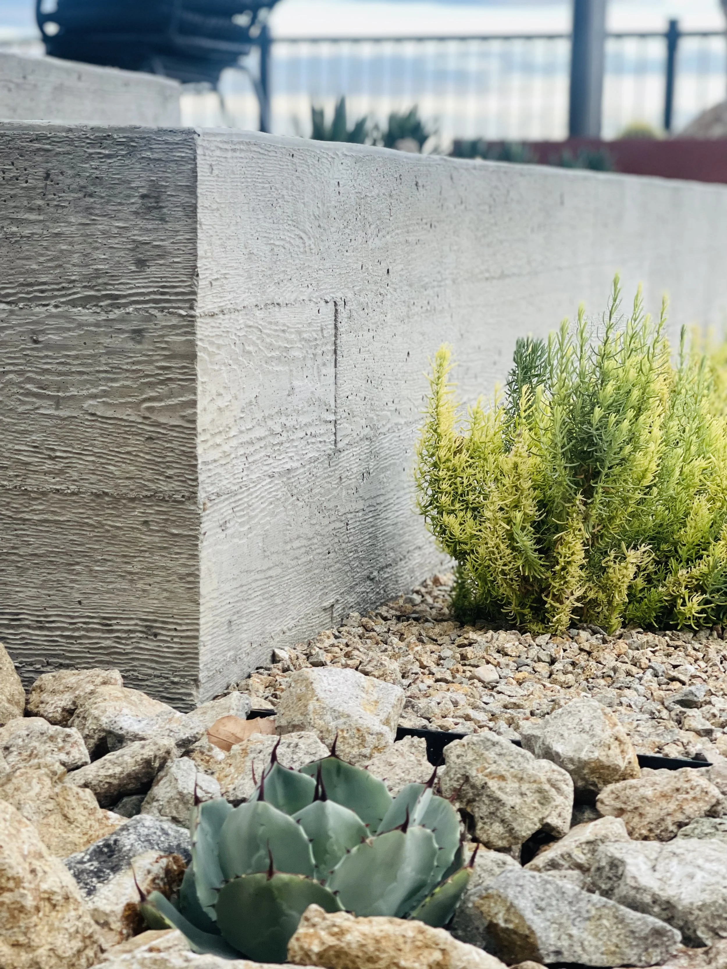 Photo Sep 21 2025, 6 04 59 PM.jpg