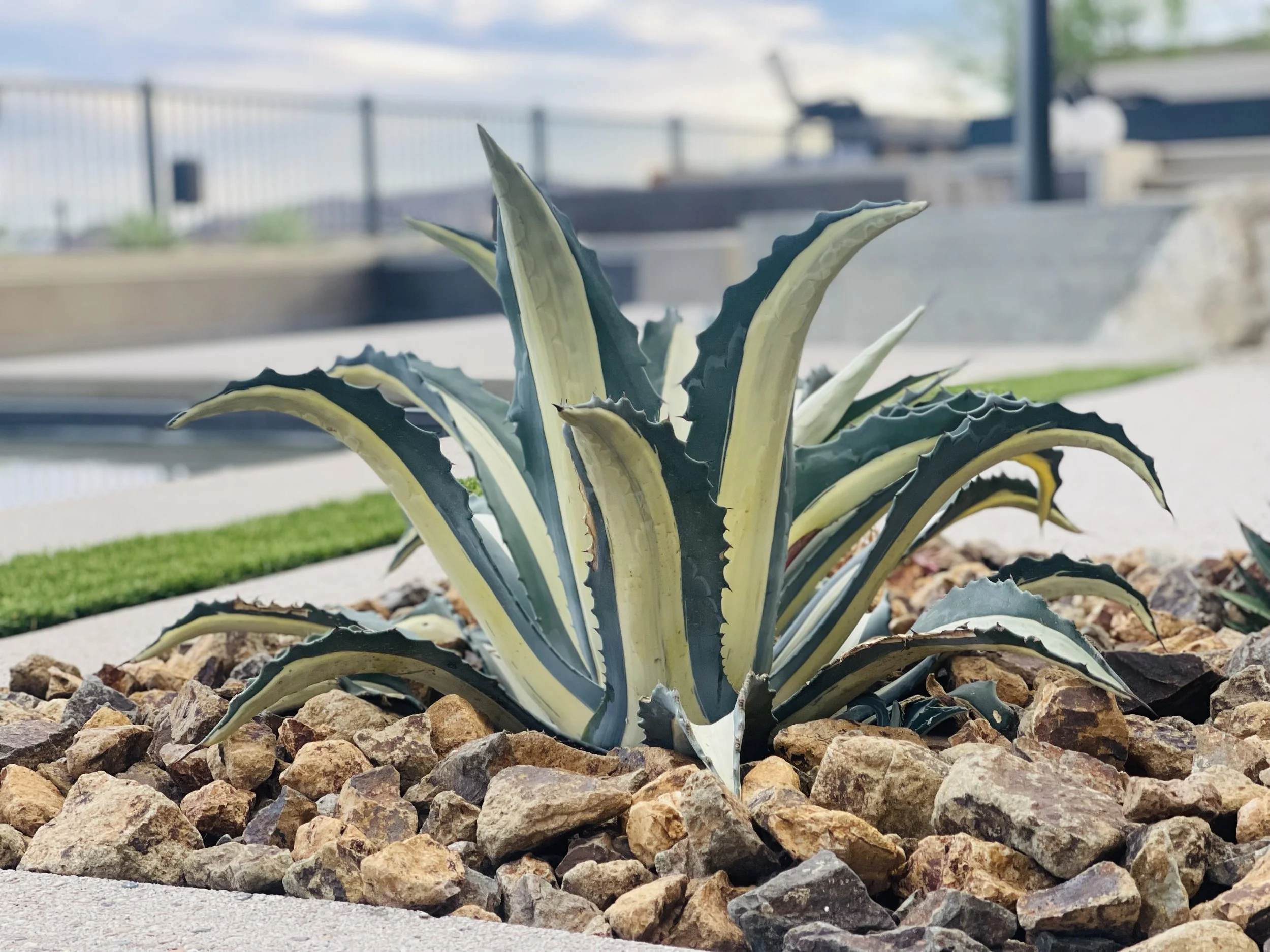 Photo Sep 21 2025, 6 04 26 PM.jpg