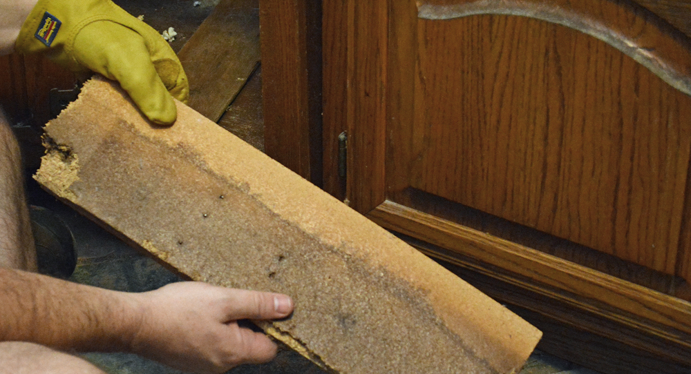 Particle Board + Water + Time = Bleeeeehhhhh!