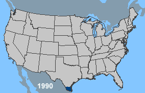 https://en.wikipedia.org/wiki/Africanized_bee