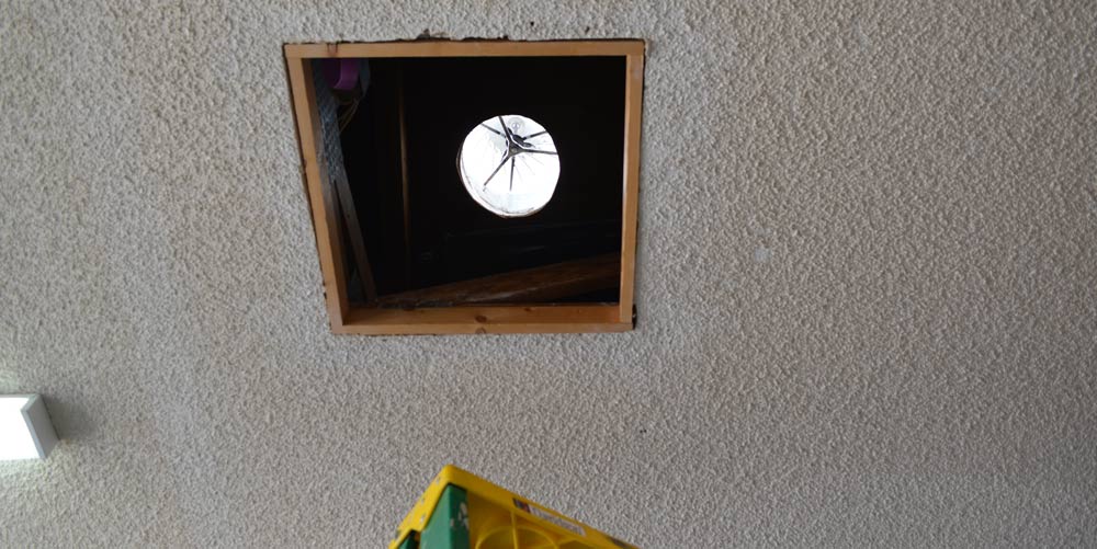 I can see the light.