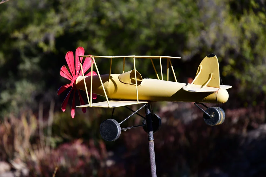 DSC_1885.jpg
