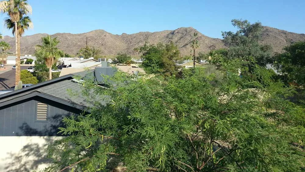 Looking over the Mesquite at South Mountain Park in the good old days.