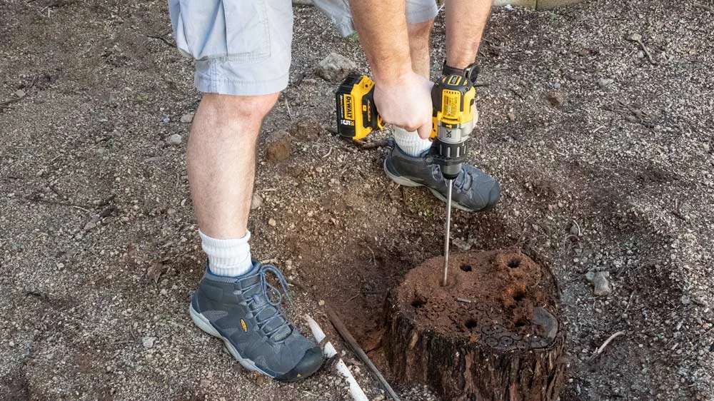 03-stump-drilling.jpg