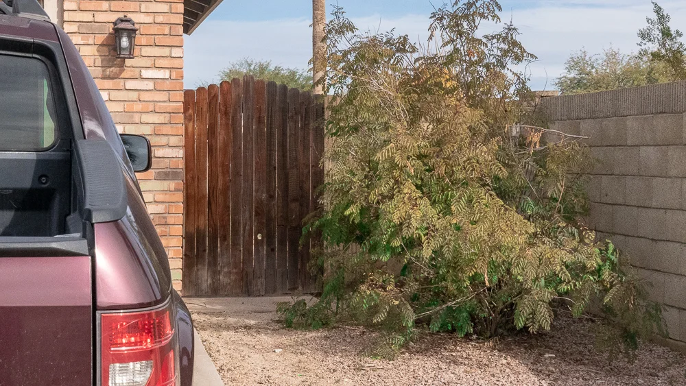That gate needs some work doesn’t it?