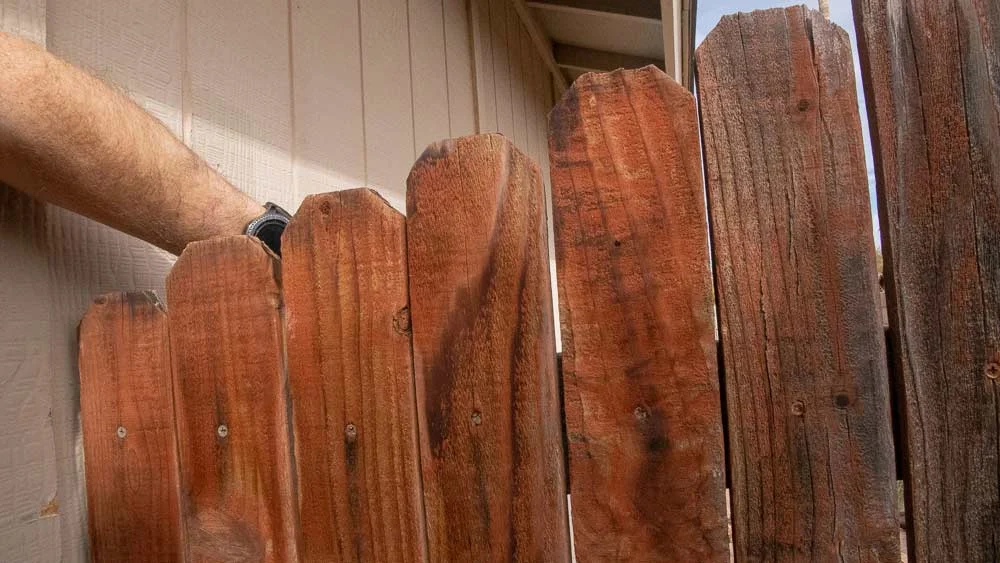 Behind this gate…