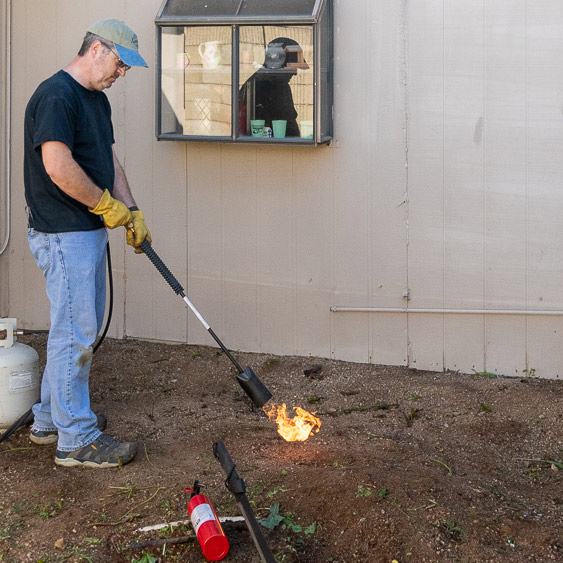 torching-weeds.jpg