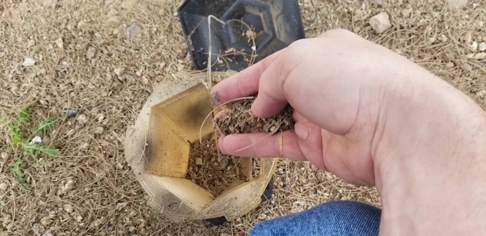 dirt-in-birdfeeder.jpg