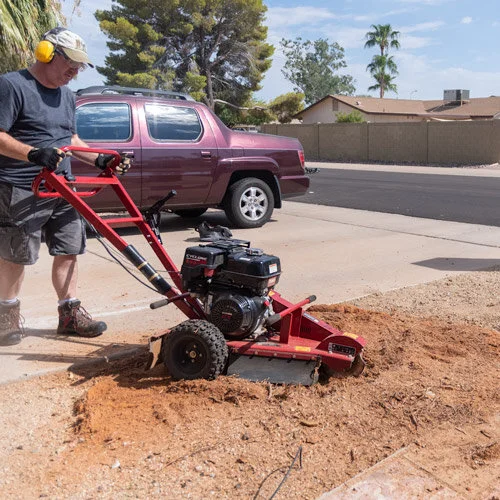 How to Remove a Palm Tree Stump — AZ DIY Guy