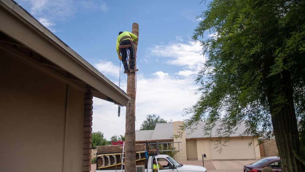 Dude in the truck is going to have a stiff neck. He’s got a tough job.