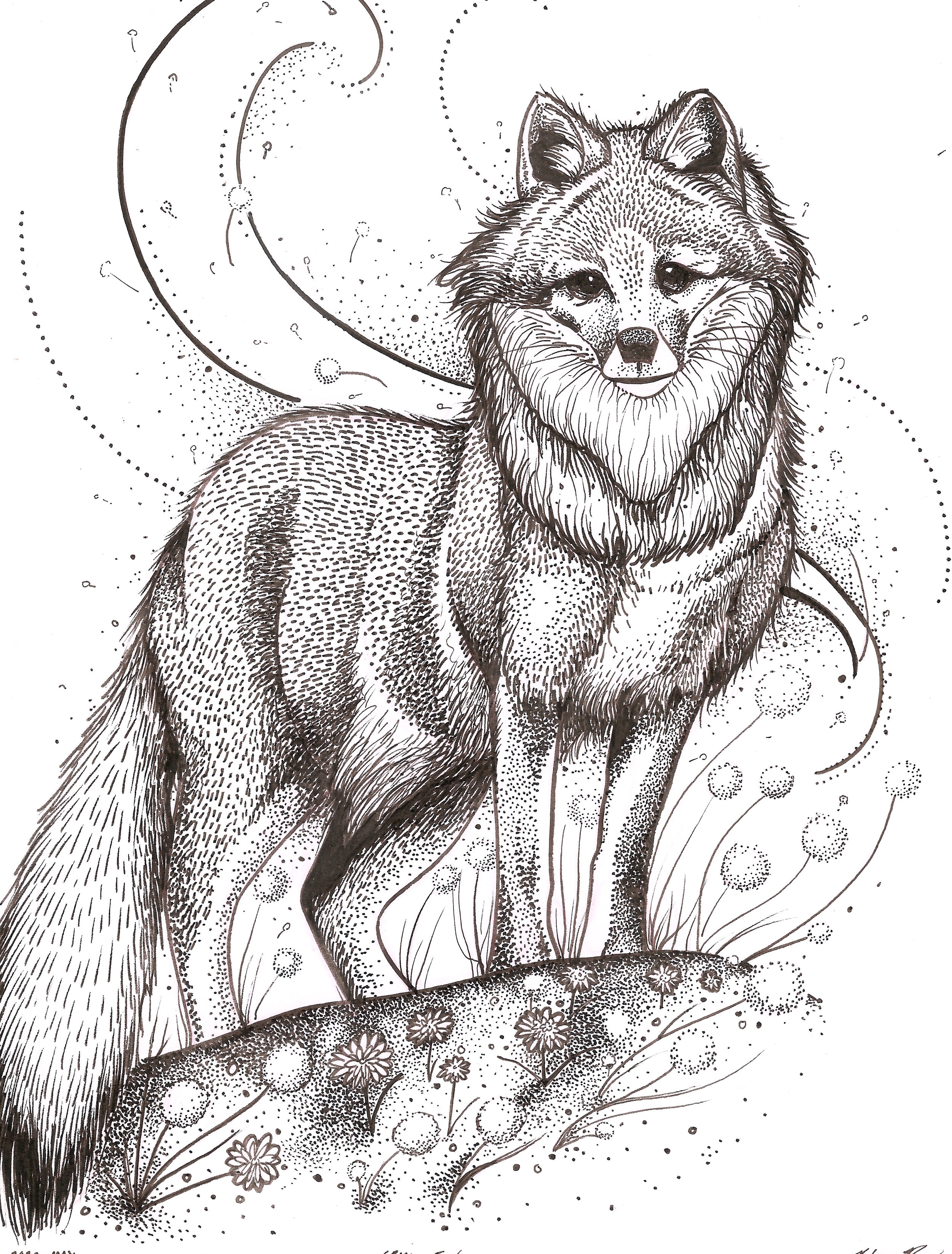Windy Fox