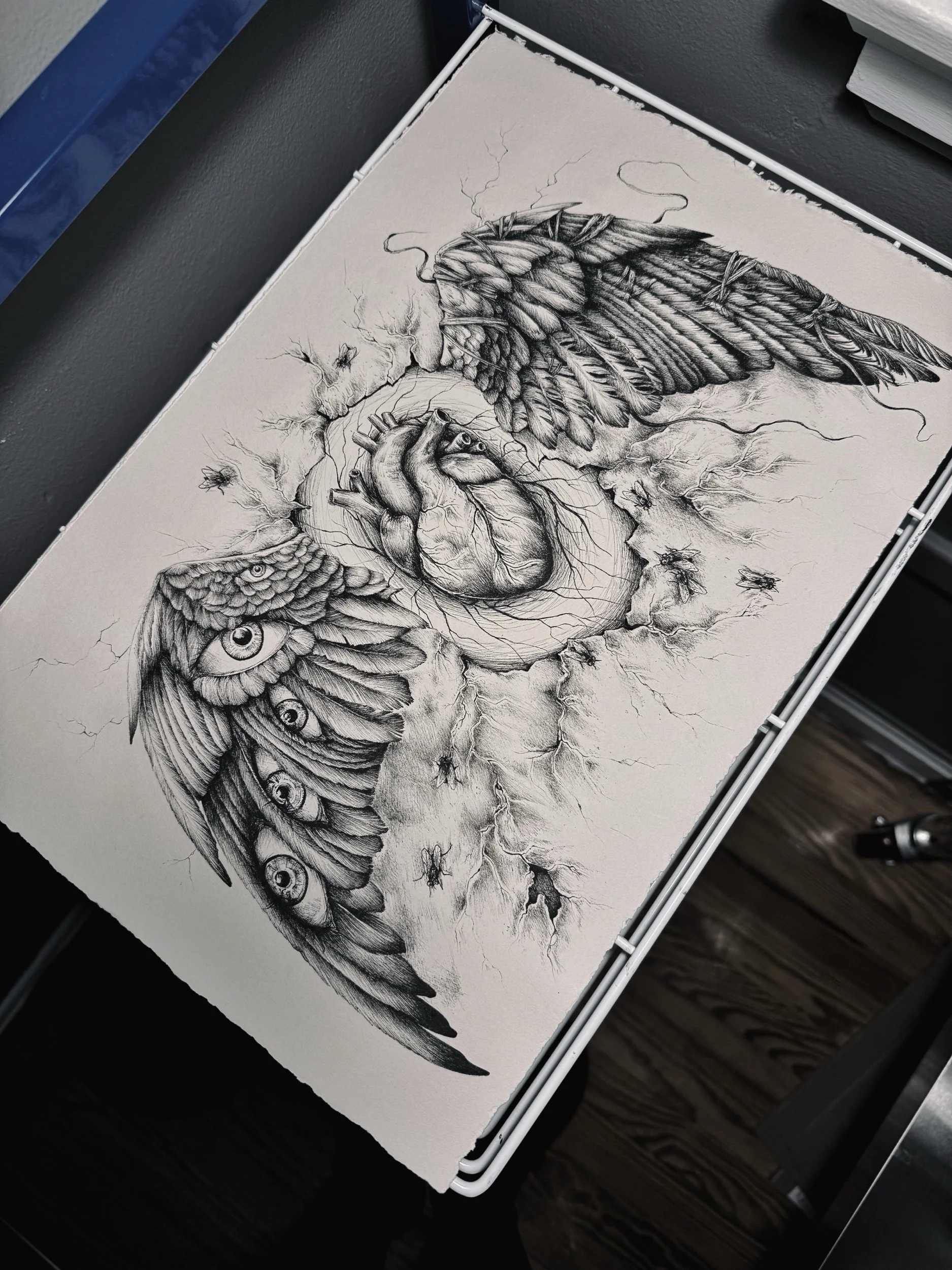 Radix Nostra Caelestis