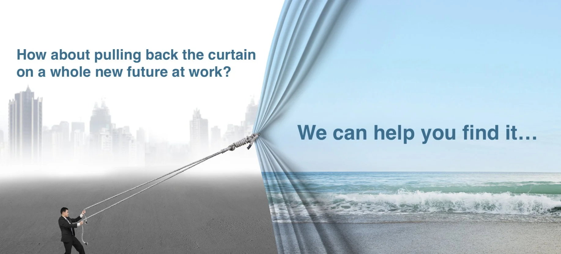 SFCSuite Website HomePage 005.jpeg