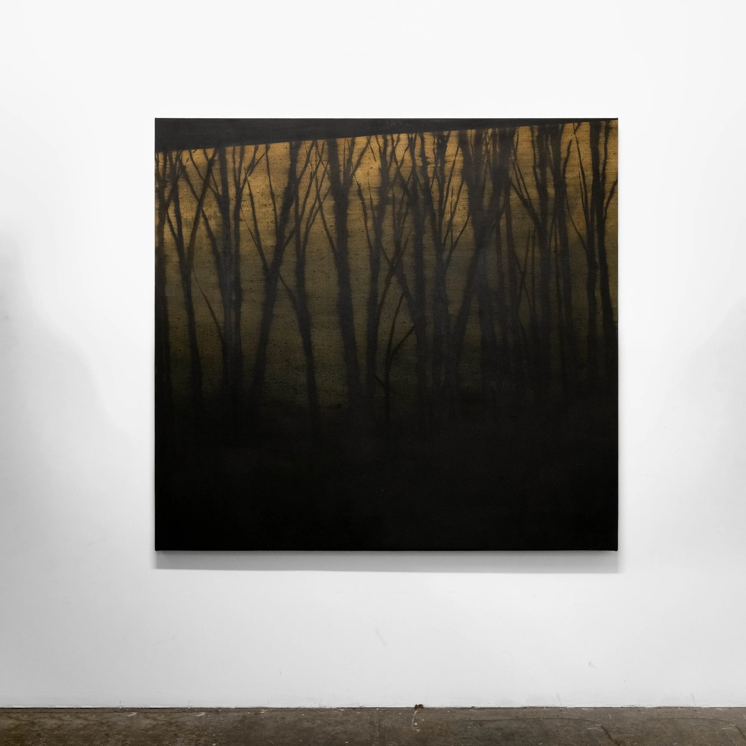 Blurred View.jpg