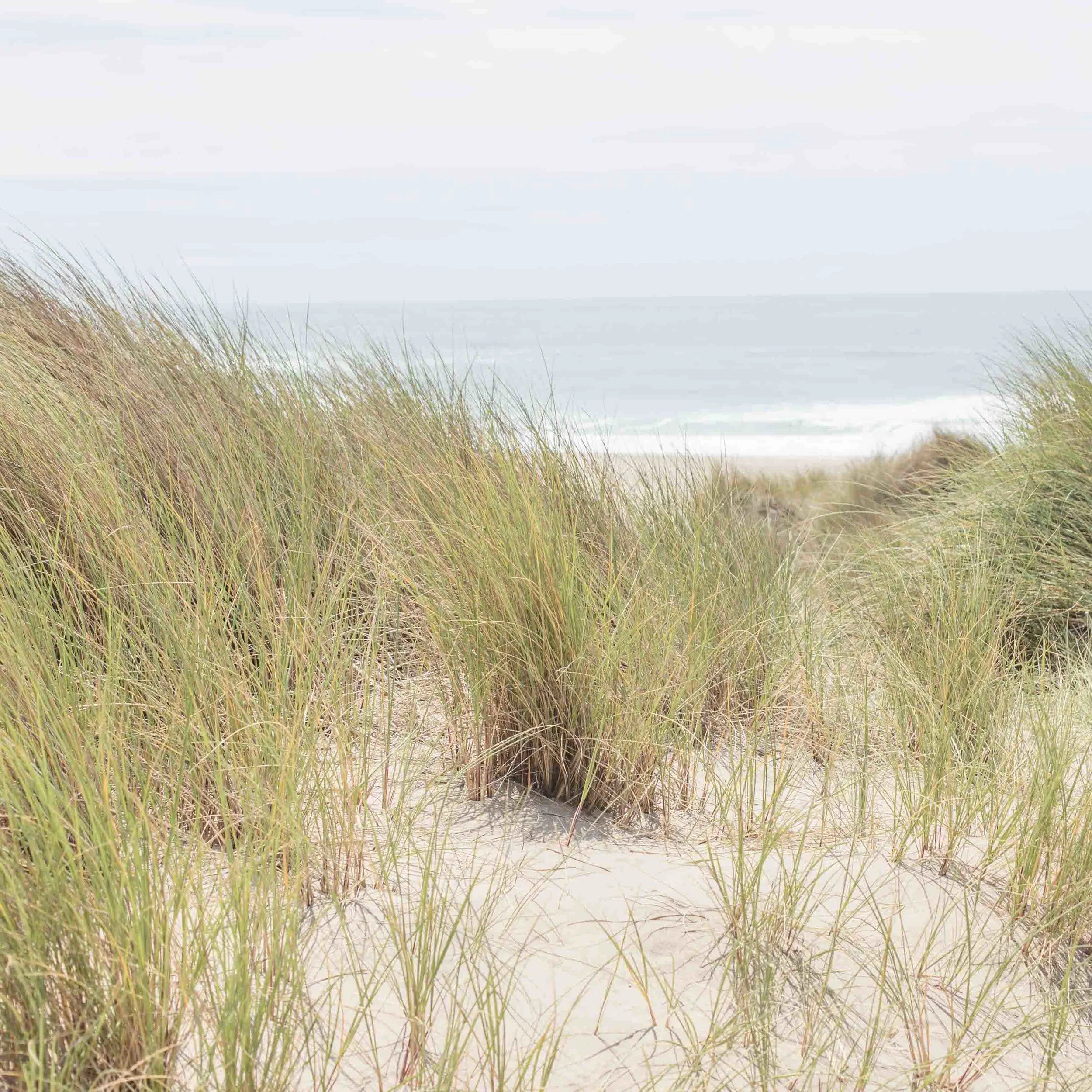 Nick's Cove CottagesOne of the last remaining historic settlements catering to the early California tourist trade on the beautiful Tomales Bay coastland, Nick's Cove has served as a depot for tourism, local fishermen and agricultural operations thro…