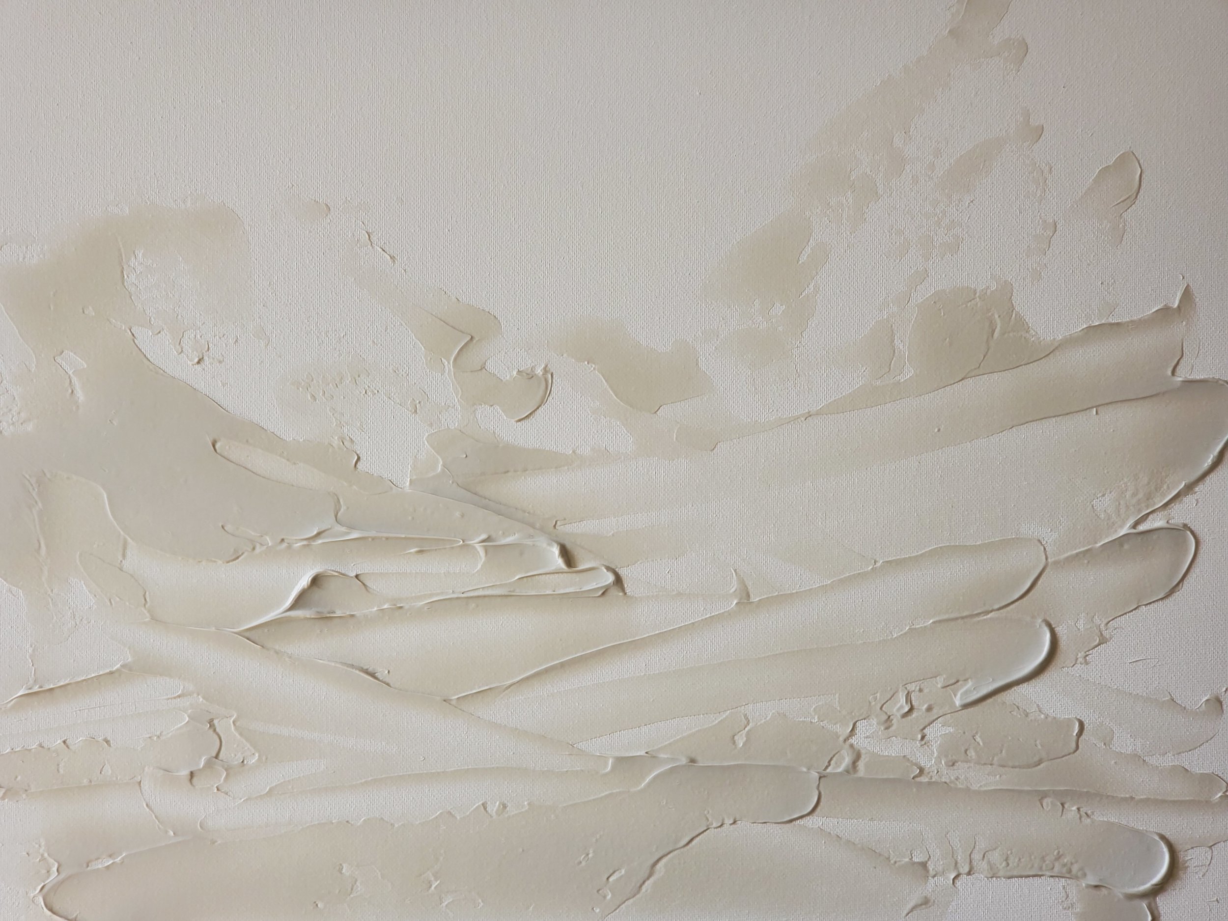 buy paint with donna pret textured canvas image2 .jpg