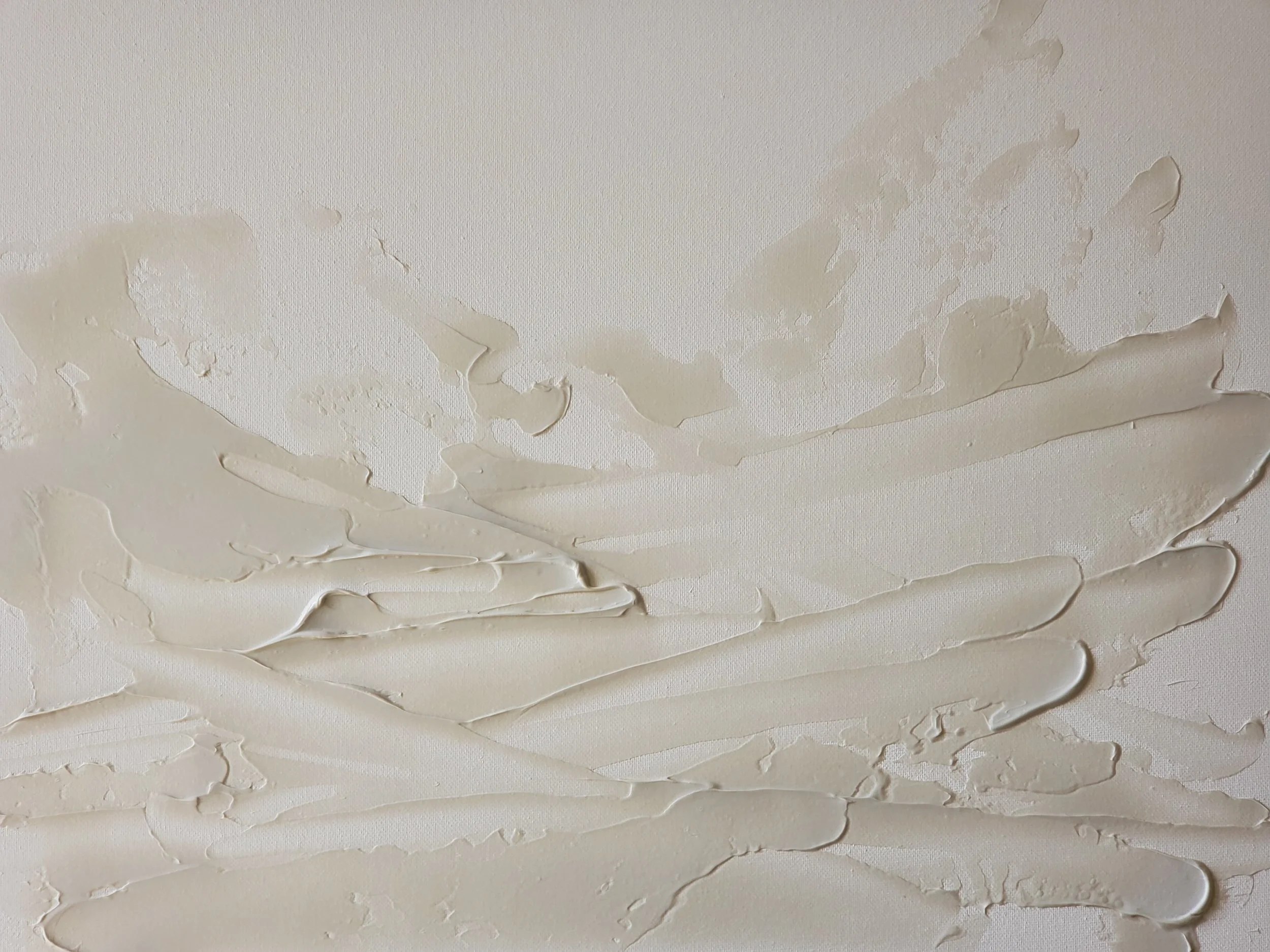 buy paint with donna pret textured canvas image2 .jpg