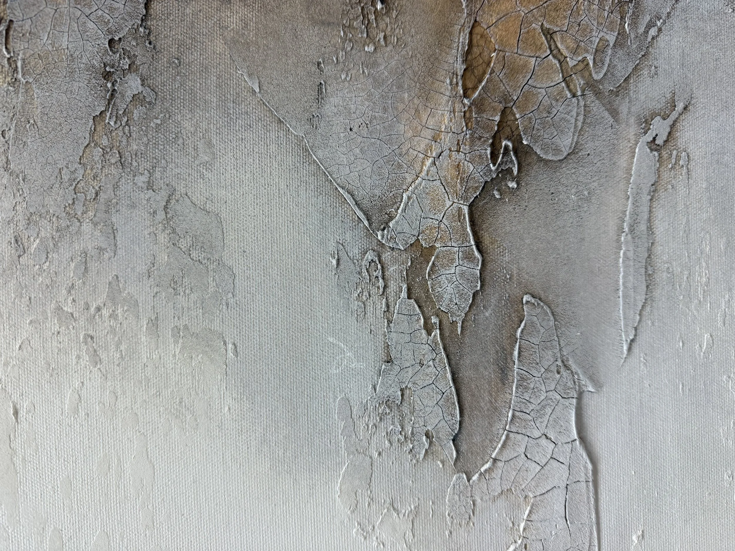 SITU8.JPG