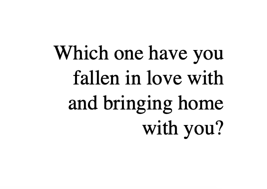 Text image with the question, 'Which one have you fallen in love with and bringing home with you?'