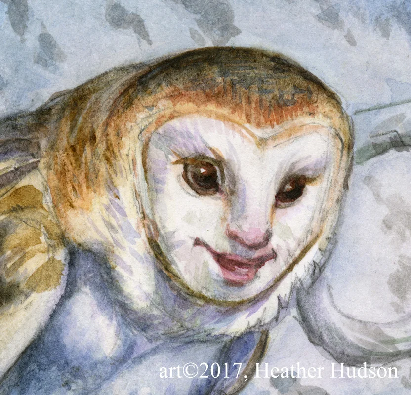 A vastly blown up detail of the Owl Harpy watercolor sketch from June-Fae 2017. What a little dickens it is!