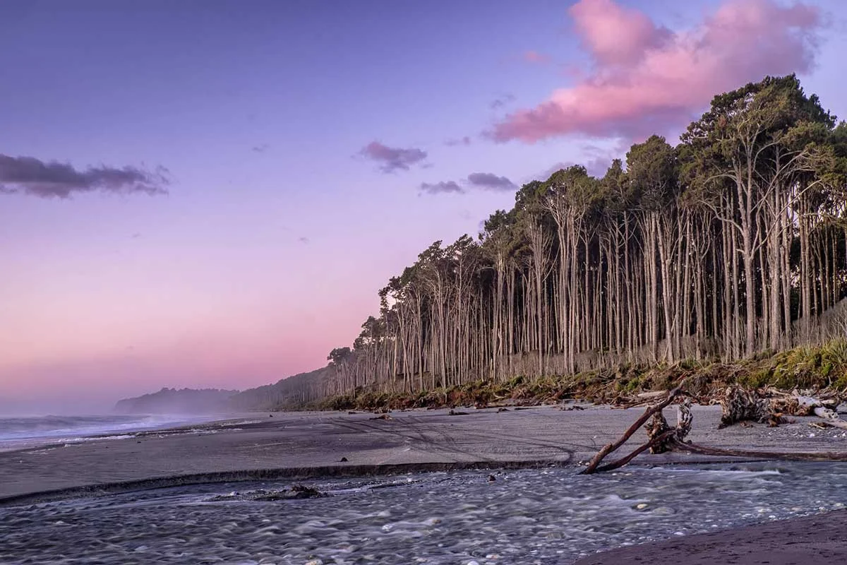 Bruce Bay Sunset, Westland