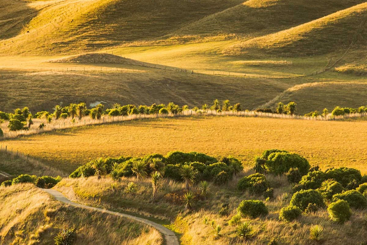 Colours of the Kaikoura Peninsula
