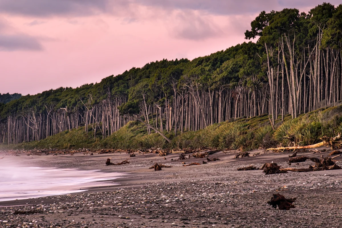 Windy Bruce Bay
