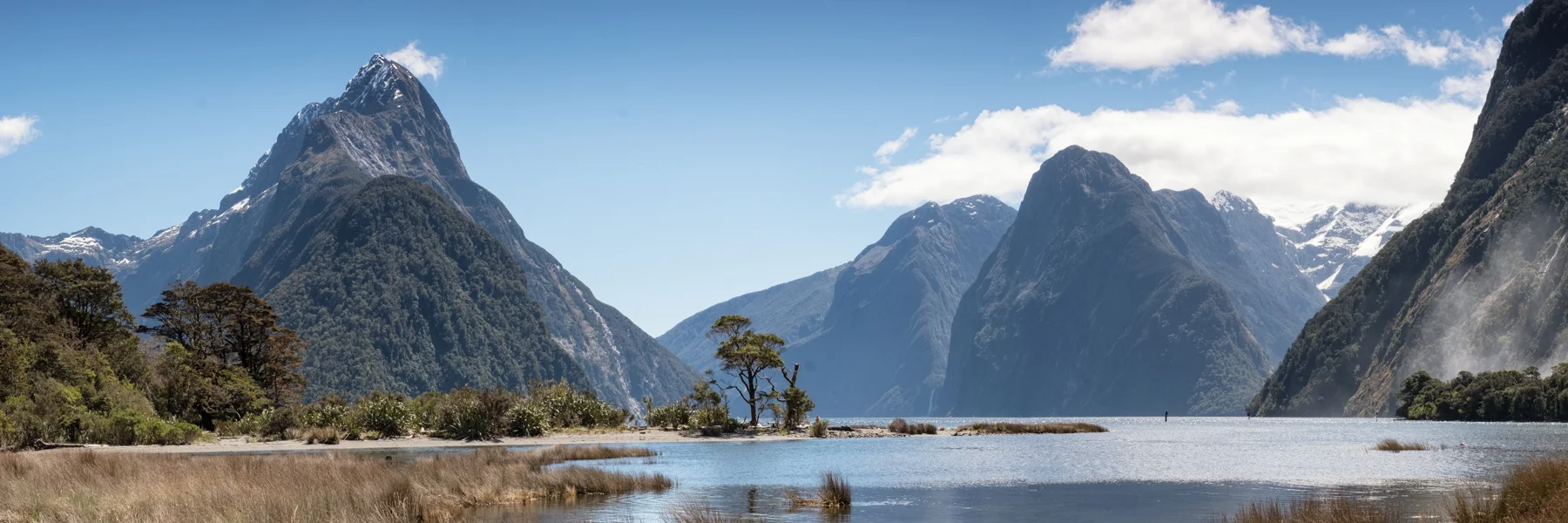 Milford Sound View