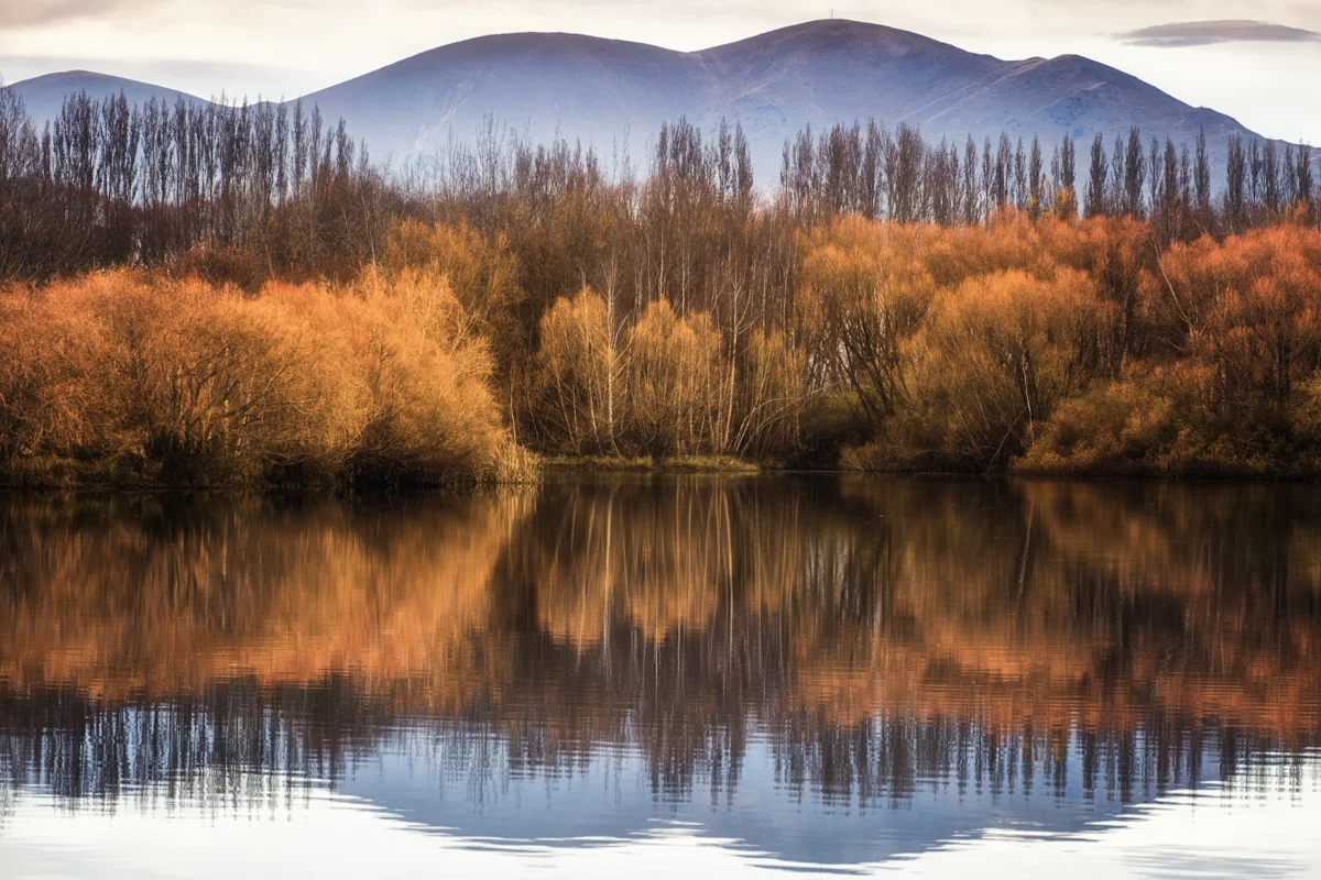 Wairepo Arm Reflections
